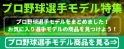 プロ野球選手モデル特集