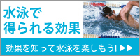 水泳で得られる効果