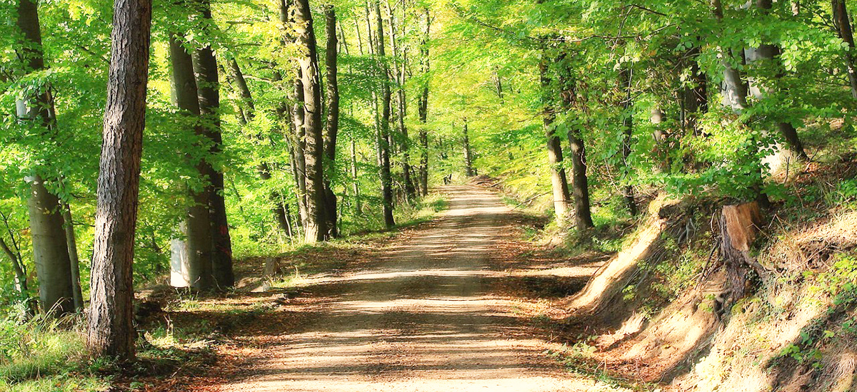 ランニングを続けるコツ