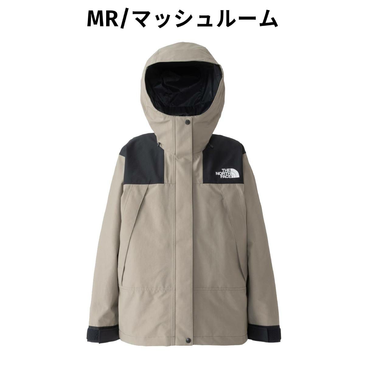 美品 座ら ノースフェイス マウンテンジャケット レディース L 
