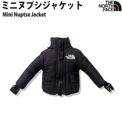 ノースフェイス THE NORTH FACE Mountain Light Jacket マウンテン