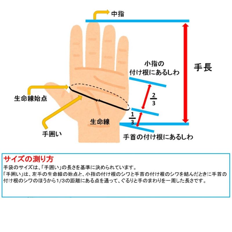 ミズノMIZUNOMizunoProミズノプロシリコンパワーアークLIバッティンググラブ両手用野球バッティング手袋天然皮革母の日父の日限定カラー1EJEA51364