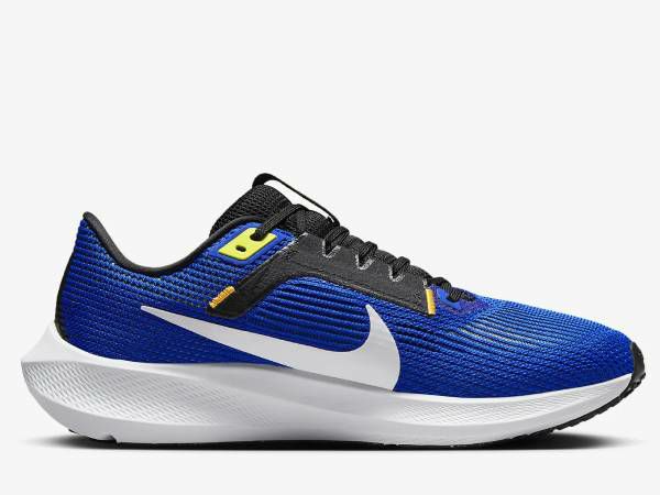 ナイキ NIKE AIR ZOOM PEGASUS 40 エア ズーム ペガサス 40 メンズ