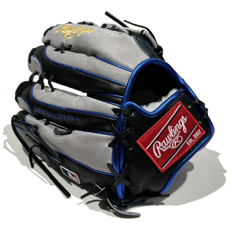 ローリングス Rawlings 【専用グラブ袋付き】限定 NPB2024