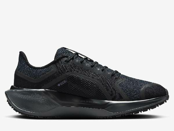 ナイキ NIKE AIR ZOOM PEGASUS 41 GORE-TEX エア ズーム