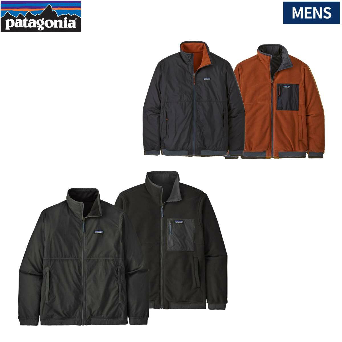 patagonia マイクロディニフリース 素晴らしき Lサイズ CPONカラー