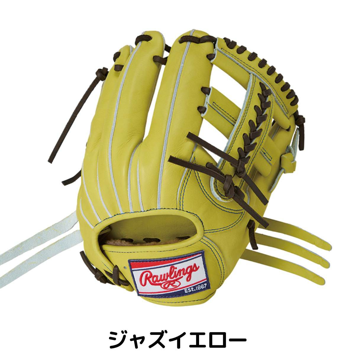 ローリングス Rawlings 専用グラブ袋付き HOH PREMIUM 硬式用グラブ 内