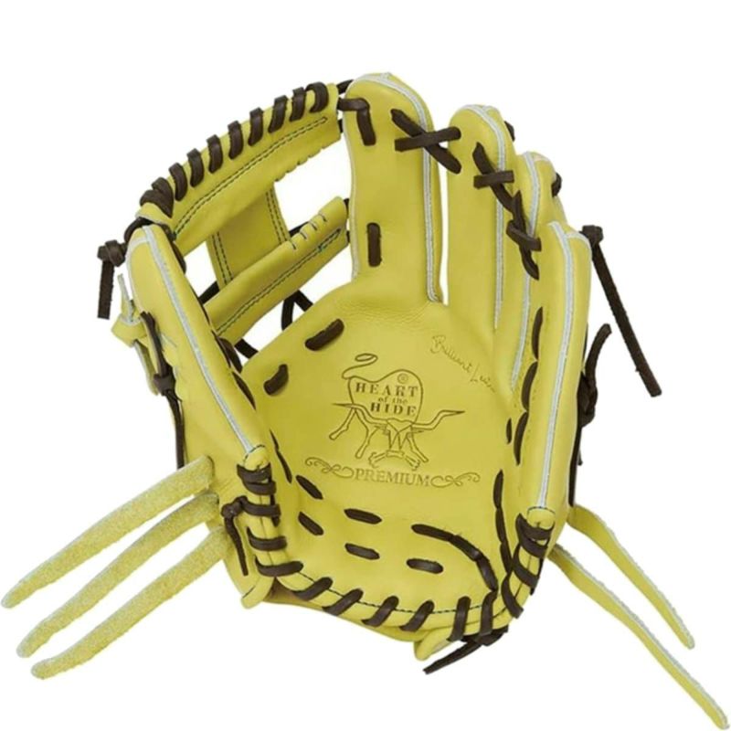 ローリングス Rawlings 専用グラブ袋付き HOH PREMIUM 硬式用