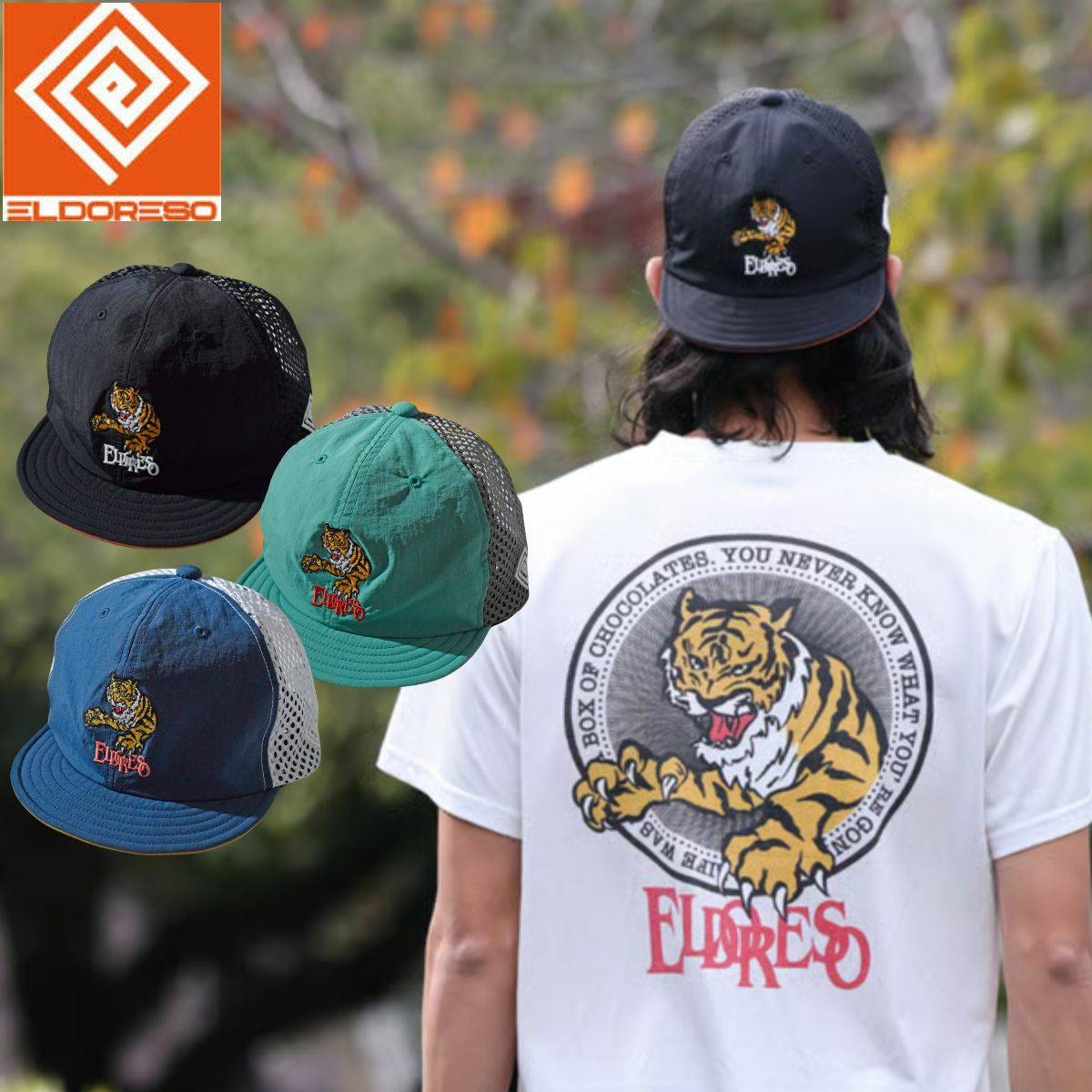 000000091623-01-l.jpg?t=