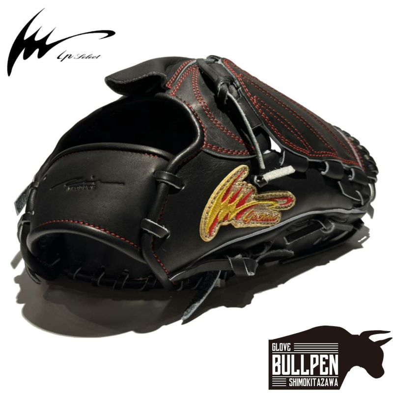 アイピーセレクト ip select ipセレクト 専用グラブ袋付き ADVANCE