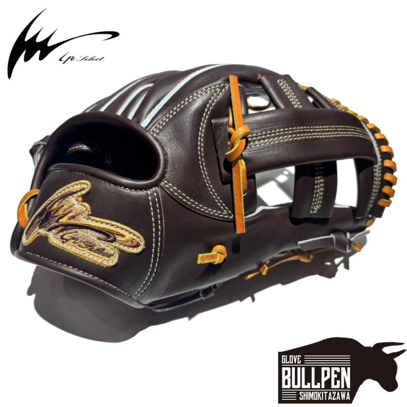 アイピーセレクト ip select ipセレクト 専用グラブ袋付き 十河モデル