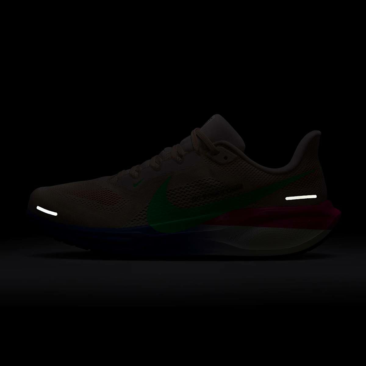 ナイキ ペガサス 41 エリウド キプチョゲ メンズ NIKE AIR ZOOM